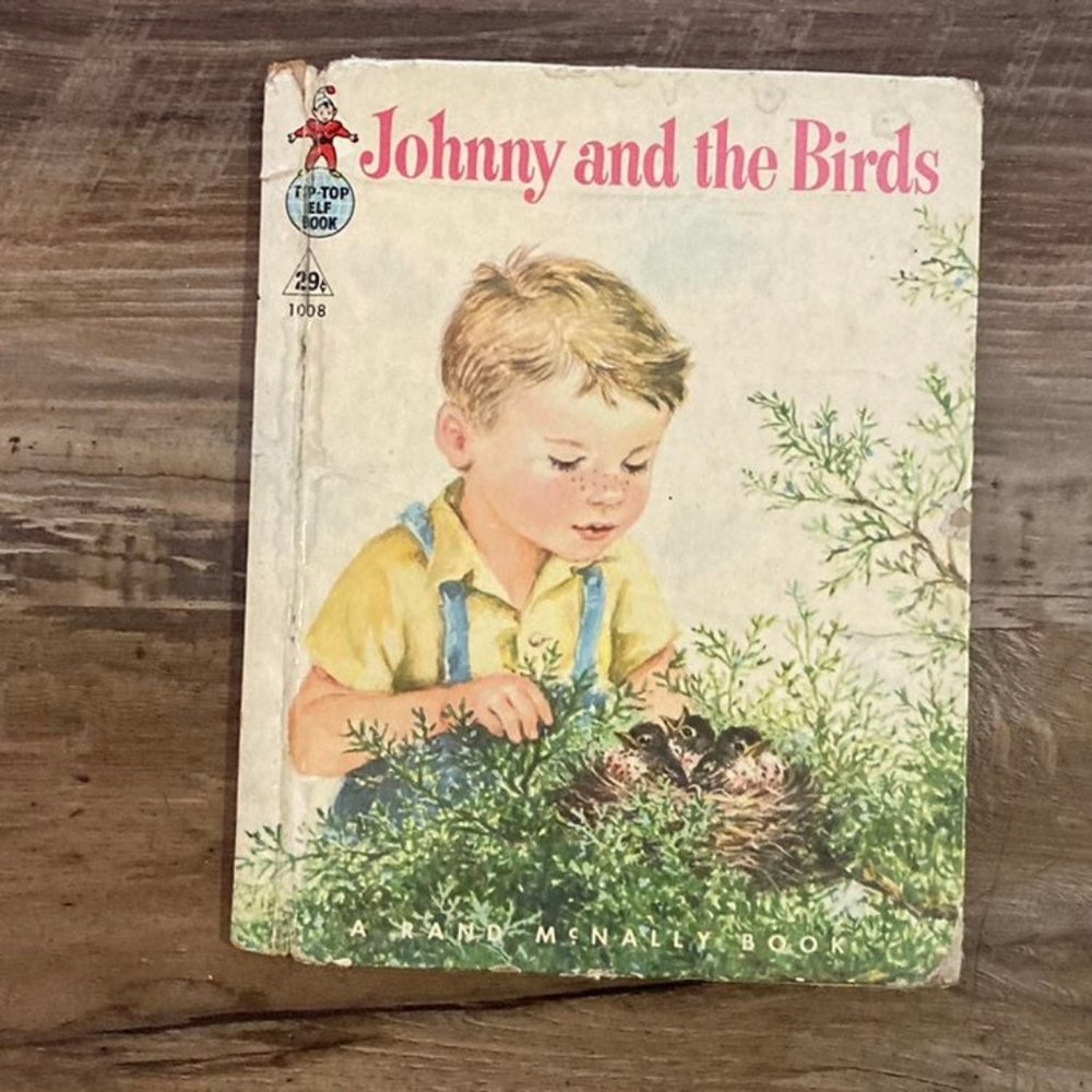 Vintage Rand McNally Book Johnny and the Birds